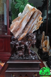 NO.5459老坑树化玉